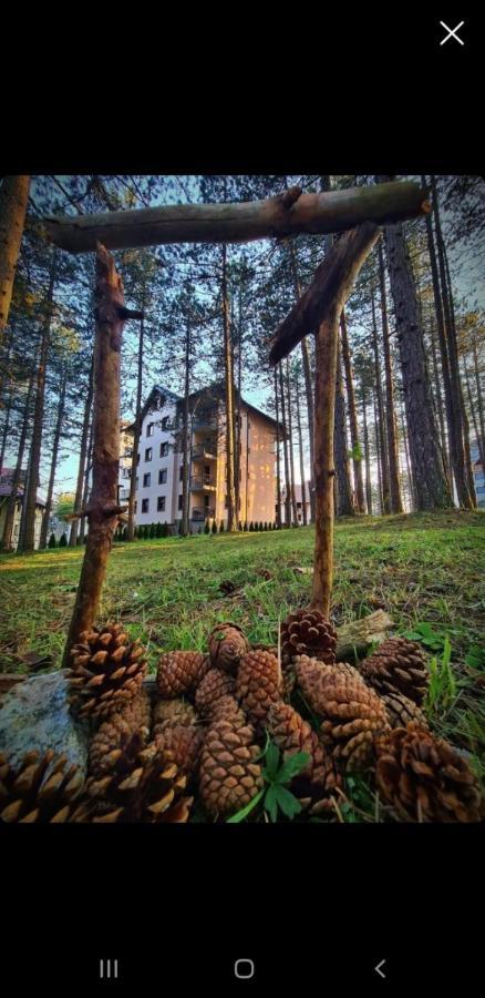 Apartman Pavle Zlatibor Luaran gambar