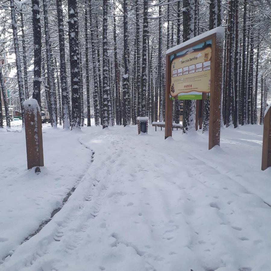 Apartman Pavle Zlatibor Luaran gambar